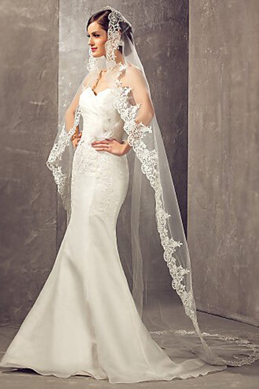 White Long Wedding Veil with Lace